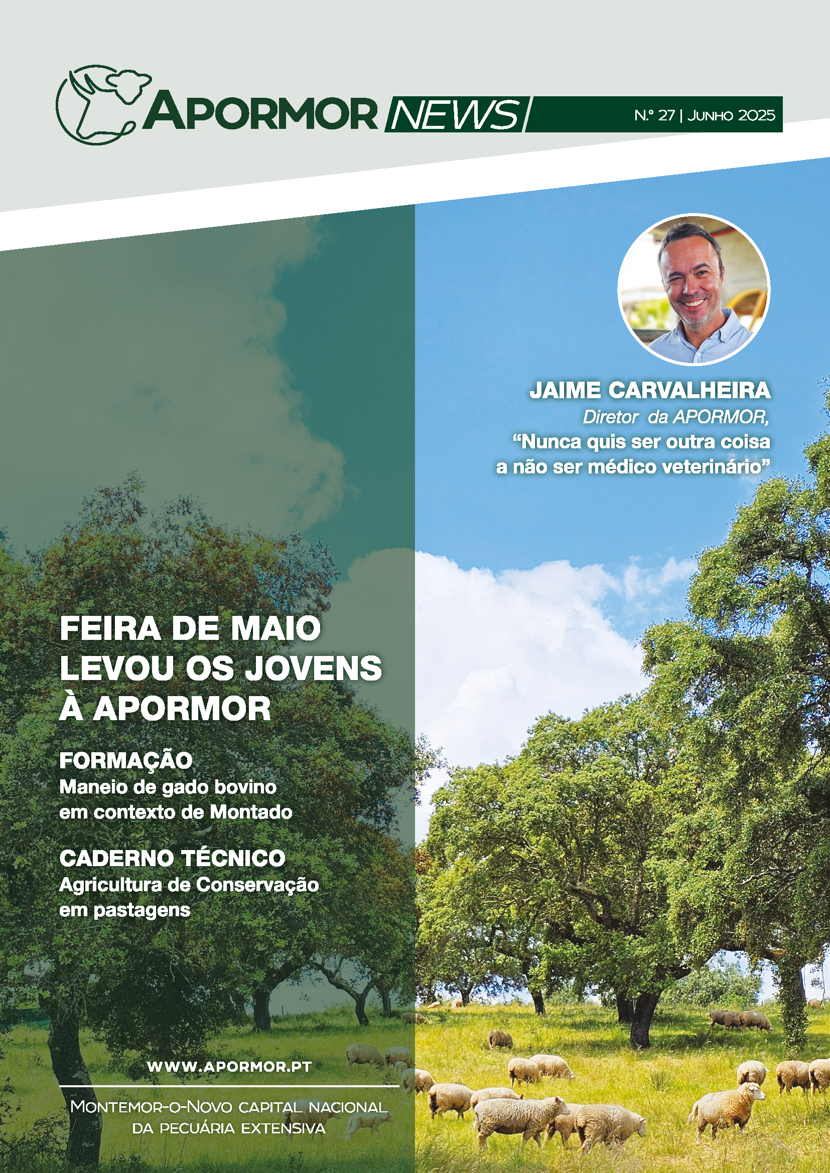 Newsletter Capa